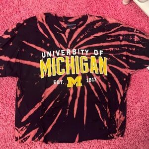 Champion Michigan tee